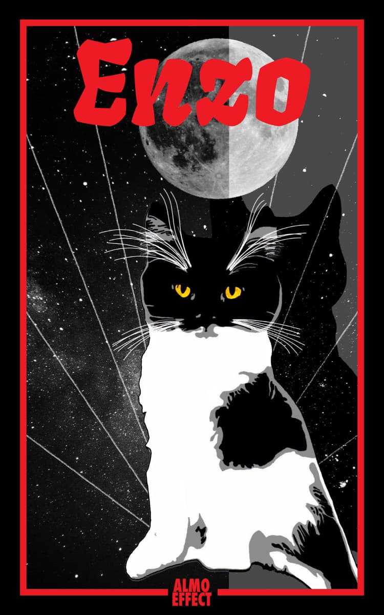 The cat ‚Enzo‘ sits right before a sky of stars and a moon. His name is written above him, a red frame is shown around him and below the text ‚ALMO EFFECT‘ is shown.