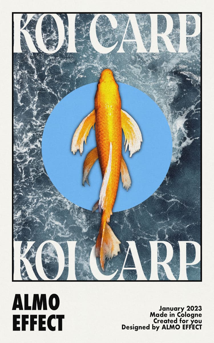 A yellow Koi fish from above is shown in front of a blue circle and with a ocean birds-eye view in the background. On top and bottom of the scenary 'KOI CARP' is written. Below 'ALMO EFFECT' is shown in a frame which indicates that it could a movie poster from the 60s or 70s.