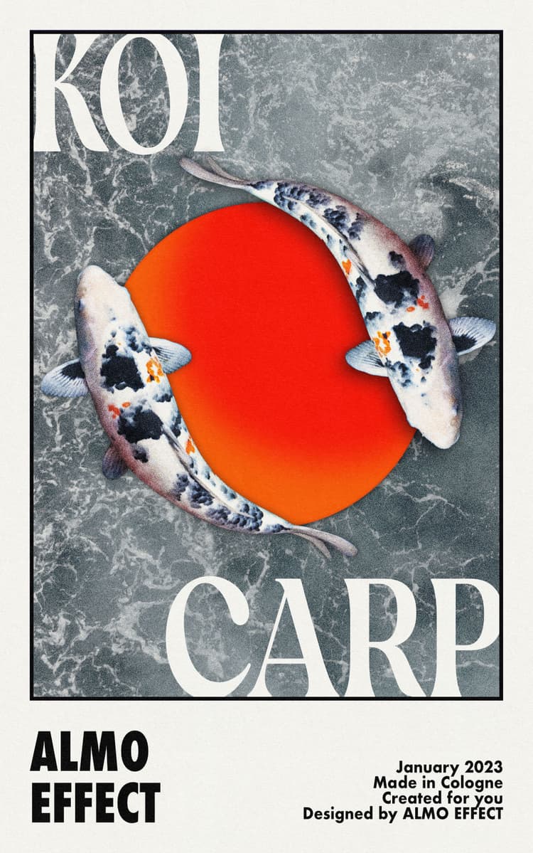 Two white Koi fish from above are shown in front of a red circle and with a ocean birds-eye view in the background. On top of the scenary 'KOI' and on the bottom 'CARP' is written. Below 'ALMO EFFECT' is shown in a frame which indicates that it could a movie poster from the 60s or 70s.
