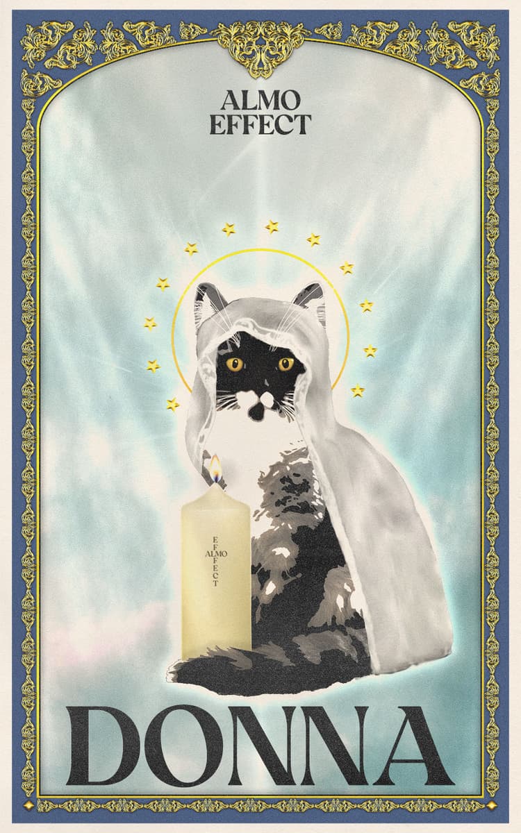 On a sky like background, bathing in light, a grey cat is sitting with a white veit looking like madonna on a holy christian picture. In front of a her a candle white candle is placed which is lit. On the candle as well as above her head the text ‘ALMO EFFECT’ is written. Beneath her feet the words ‘DONNA’ are shown. All is framed in a blue border with golden ornament elements.