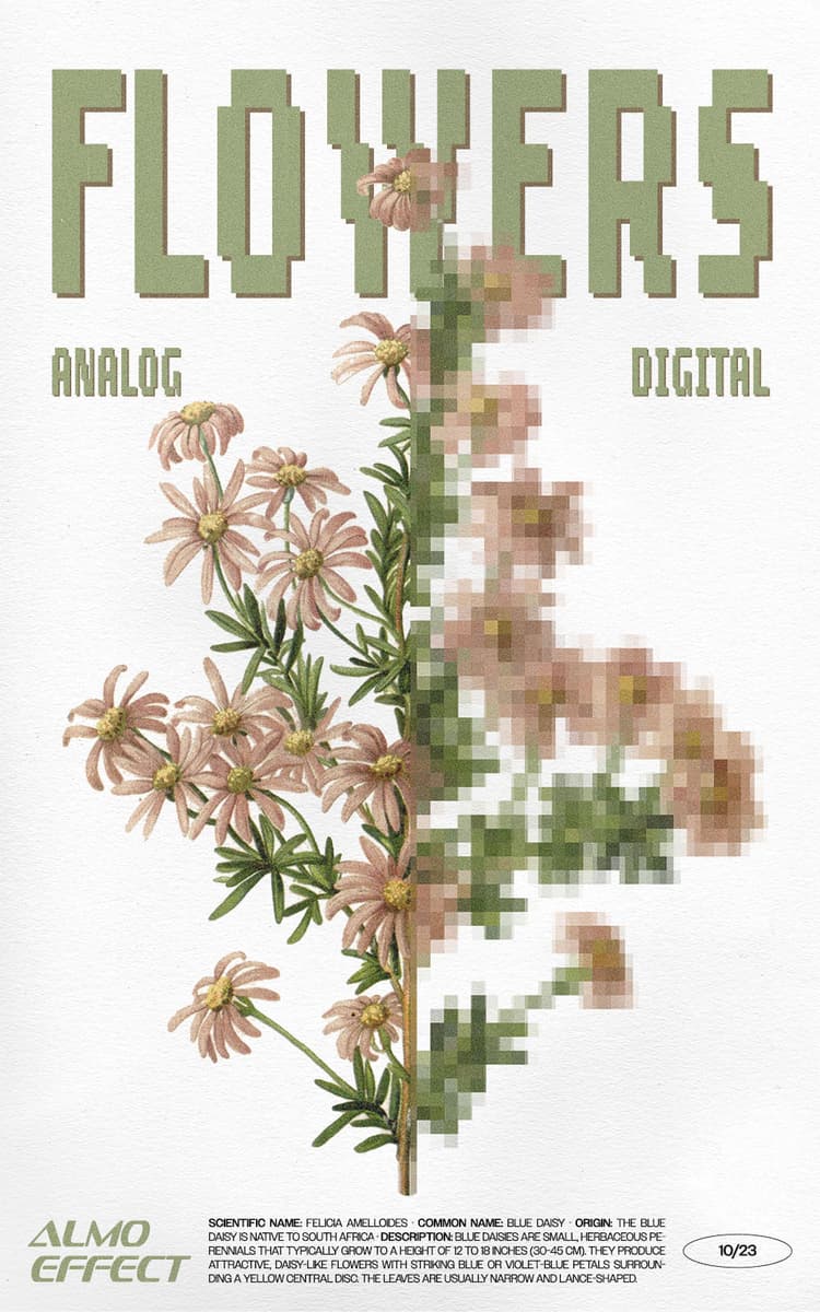 In the style of botanic publications of the 19th and early 20th century, this artwork shows a blue daisy flower on a broken white canvas. On the upper third the word ‘Flower’ is written in a pixelated font is written. Below that the words ‘analog’ and ‘digital’ are shown. On the bottom third ‘ALMO EFFECT’ is presented side to side with a scientific description of the plant. Half of the blue daisy is also pixelated.