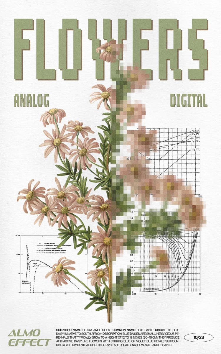In the style of botanic publications of the 19th and early 20th century, this artwork shows a blue daisy flower on a broken white canvas. On the upper third the word ‘Flower’ is written in a pixelated font is written. Below that the words ‘analog’ and ‘digital’ are shown. On the bottom third ‘ALMO EFFECT’ is presented side to side with a scientific description of the plant. Half of the blue daisy is also pixelated.