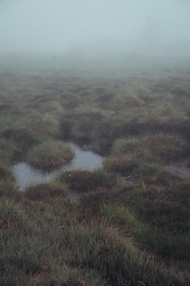 Drowning