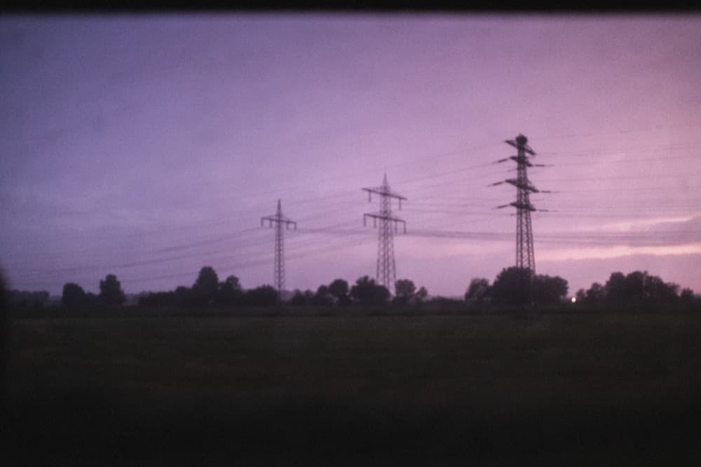 Purple Dreams