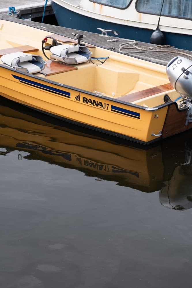 RANA 17